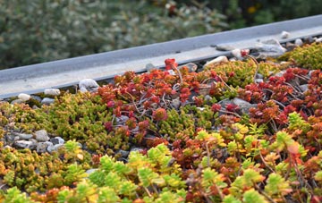 the cost of Little Stainforth green roof installation