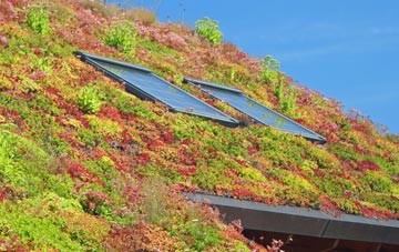 Little Stainforth living roof systems