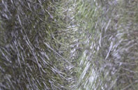 Little Stainforth fibreglass roof work